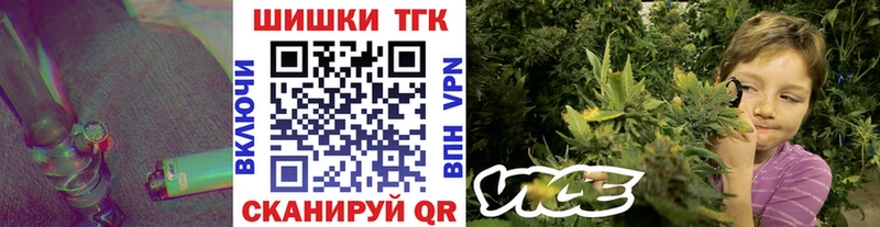 Конопля гибрид Городовиковск